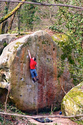 Luca Eugster beim Bouldern an einem Felsblock im Wald